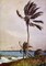 Palm Tree Nassau Poster Print by  Winslow Homer - Item # VARPDX373245